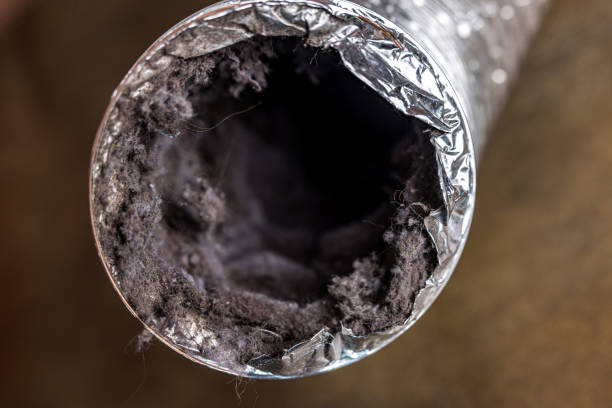 Best Ductwork Cleaning Services  in Century, FL