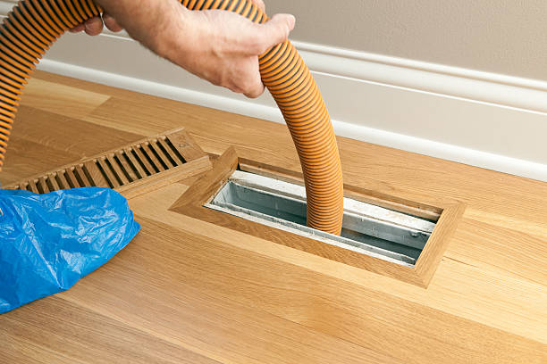 Best HVAC Air Duct Cleaning  in Century, FL