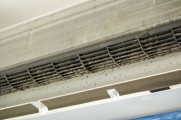 Best Air Vent Cleaning Services  in Century, FL