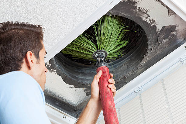 Best Dryer Vent Cleaning Services  in Century, FL